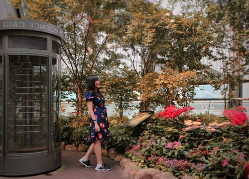 One day, I just woke up and decided.. I didn't want to feel like that anymore, or ever again, so i changed.. 😊Sometimes, our biggest disappointments lead us to our biggest blessings..💓💞💞.📸 @venny_firstyani....#exploreSingapore #girlpowertravel #TravelWithSGB #picoftheday #explorechangi #butterfly #butterflygarden #potd #VisitSingapore #ClozetteID