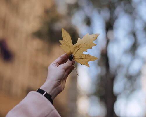 Poetry in the air 🍁
.
.
.
.
.
#poem #clozetteid #travel #autumn #sydney #australia #travelblogger