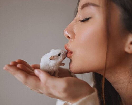 Hamster and Gretel📸 @samseite......#animalphotography #animallover#hamsterindonesia #hamstergram#portraits_shoot #mood #Portraiture#animals #fotd #ClozetteID #faceoftheday