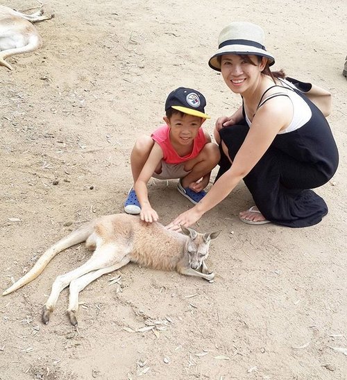 Highlight of the day, petting a kangaroo! They are lovely animals, just lying there, resting most of the time and let us pet them 😍😍
#poshplushtravel #australia #goldcoast #currumbin #happy #grateful #instatravel #travelling #traveller #jalanjalan #instanature #bestoftheday #picoftheday #clozetteid #beautiful #kangaroo #redkangaroo