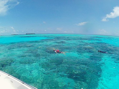 Hello Nemo!
How are you there?
.
.
#summertime #exploringtheglobe #seetheworld #travelbug #maldives #LingTrip #getupgogo #agirlwhotravel #exploremore #travel #makemoments #beach #beachlover #beachlife #travellife #clozetteID #clozetteDaily #fbloggers