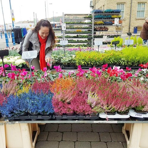 Strolling around Huddersfield market , lihat2 tanaman Iiih lucu warna warniiii ... andaikan bs dibw ke indo dan hidup di indo 😂......#ootd #autumnlook #falloutlook #fashion #fashiondiaries #fashionblog #outlookoftheday #outlook #fashionoftheday #muktilimtravelling #jalanjalan #travelling #travelblog #travelblogger #bloggerperempuan #beautyblogger #clozetteid #clozetter #clozette  #femaledaily #outfitoftheday #fallfashion  #like #likeforlike #like4like #potd #instadaily