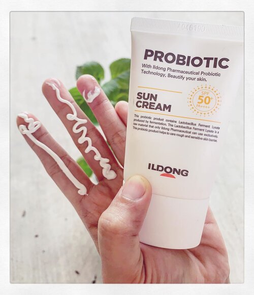 Udah lamaa ga ngepost di feed! Uhuk!

Sekali kali aku mau cerita bebas tanpa struktur lah yaa.

Sunscreen dari Ildong FirstLab ini baru aku cobain sekitar 1 minggu. Awalnya ga ada expect apa-apa. Yang penting ga bikin breakout, udah deh gitu aja.
Terrnyata, doi ini punya karakter unik yang belum pernah aku temuin di sunscreen lain yang pernah ku coba.

Pertama, dia ini bikin toneup, tapi gampng banget diblend dan nyerap ke kulit. Ketika toneup, ga bikin wajah jadi berminyak kusam gitu loh. Toneupnya masih sopan menurutku, ditambah langsung nyerap dan ngeblend ke kulit, jadi berasa bikin ini seperti bedak tapi bentuknya cair.

Kedua, ini sunscreen pertama yang seketika bikin kulit wajahku matte banget. Sampe kayak berasa agak kaku. Bahkan dipake seharian, itu awet banget nahan minyak wajah. Wagelaseh!

Ketiga, sunscreen ini awet nempel di wajah. Jadi kalau wajah belum bener-bener dibersihkan pakai pembersih wajah, itu kayak aku bisa ngerasain sunscreen masih dengan awetnya nongkrong di muka, malah kadang bikin risih gatel, karna sebelumnya aku pakai Purito yang gampang kehapus tapi super moist.

Terus gimana konklusi nya?
Sezuzurnya aku punya mixed feeling.. di satu sisi aku suka karna uniknya dan gampangnya dia ngeblend dan nyerap ke kulit.. di sisi lain aku terganggu dengan super matte and dryingnya sunscreen ini.

Overall acceptable, score saat ini : 4 / 5

#awlssrev #awlminireview #awlskincarerev #sunscreen #mineralsunscreen #ildong #firstlab #intothegloss #skincare #skincarereview #pkubeautyblogger #beautyblogger #beautybloggerindonesia #idskincarecommunity #clozetteid