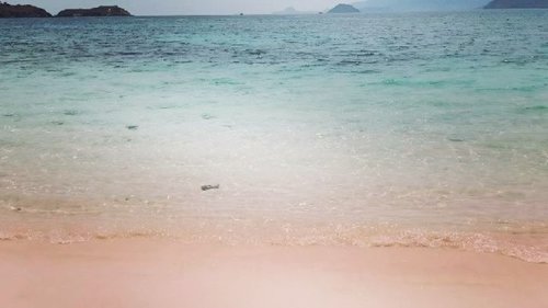 Masya Allah..
.
.
Setelah sekian lama hanya bisa mengagumi lewat foto dan video, Alhamdulillah tahun ini berkesempatan melihat langsung dan menginjakkan kaki di pantai yang cantik ini ❤️
.
.
 فَبِأَيِّ آلَاءِ رَبِّكُمَا تُكَذِّبَانِ

#travel #clozetteid #adventure #journey #labuanbajo #Indonesia #pinkbeach