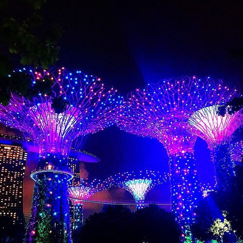 Kemarin itu akhirnya kedapetan nonton Garden Rhapsody juga di Supertree Grove. Sebelumnya tiap kesini selalu pas siang hari terus, dan trip kali ini akhirnya disempetin kesini malem2 abis landing biar bisa liat music & light Garden Rhapsody. Light show nya cuma sebentar sih sekitar 15 menitan, tapi permainan lighting dan music nya cakepp ugak dan enjoyable. Gratis pulak ya kan 🤗 hihihi... 😬.💜 PS : Untuk yang waktu itu nanya di DM aku jawab disini aja yaZ Pertunjukan Garden Rhapsody light & music show ada dua kali tiap malam. Jam 7:45 dan 8:45 pm. Posisi terbaik untuk nonton adalah di lapangan rumput depan Texas Fried Chicken. Don’t forget to come early to find the best seating spots :).......#gardenrhapsody #supertreegrove #theprettycities #love #travelogue #traveldiary #forahappymoment #yktripdiary #lightshow #travelgram #clozetteid