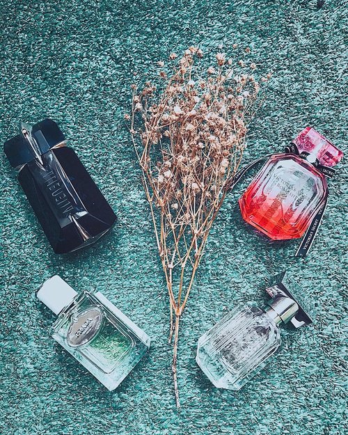 This season’s #summerpicks fragrances. More on my perfume review account : @diaryofscent 💁🏻‍♀️⁣⁣⁣⁣⁣⁣⁣⁣.⁣#scentoftheday #perfumepicks #perfumeoftheday #fraghead #perfumeselfie #ykperfumecoll #fragrantica #perfumeblog #clozetteid ⁣
