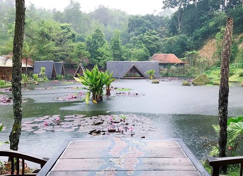 Gorgeous view from where we sat for lunch yesterday 🌿💐🌷
.
.
.
.
#lotuspond #greenery #imahseniman #exploremore #pond #landscape #exterior #layout #restaurantdesign #jalanjalan #wisata #bandung #lembang #wheretogo #indonesia #yktripdiary #clozetteid