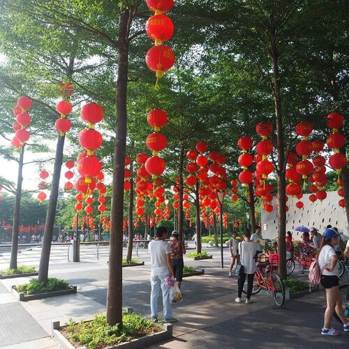 Throwback to my trip to Shenzhen last year, stayed for a month and it was beyond nice.

Compared to Jakarta, life there was definitely healthier. I walk everyday, riding public transport was very convenient, and greens were everywhere.

I visited this seaside urban Park and rode along the bay with Hong Kong just across of us.

Happy Chinese New Year to all of you! 🐥🐥🐥 #shenzhen #china #travel #오늘 #인스타그램 #뷰티블로거 #블로거 #2017년 #인스타사이즈 #데일리 #셀카 #셀피 #일상 #얼스타그램 #데일리룩 #선팔 #맞팔 #맞팔해요 #소통해요 #소통 #셀스타그램 #먹스타그램 #팔로우 #좋아요 #인친 #followmejp #sougofollow #clozetteid