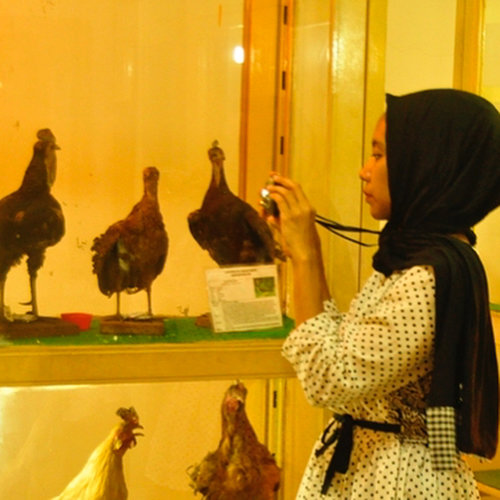 Hellooo Chickens! 🐔🐔🐥🐓..At the museum of biology..Iphone' case: @davinstorebdg ..#museumtrip #exploremuseum #biology #animals #learning #outfit #ootd #phonecase #camera #clozetteid #abmtravelbug #ifbootd #explorejogja #polkadots #livefolk #hijabstyle #lifeiscolorful