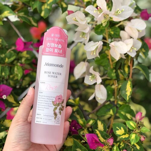 TONER OH TONER 💧
MAMONDE ROSE WATER TONER 🌹 @mamondekorea @mamondeindonesia 
Butuh rekomendasi hydrating toner ? Kalo kalo lagi nyari rekomendasi, aku bisa rekomen toner ini. Baca dulu sampai selesai ya 😘

Jujur, awal kenal Brand ini adalah dari nonton drama korea yang diperanin sama @ssinz7 yang judulnya Pinocchio. Di dalam deama itu terlihat Park Shin Hye menggunakan kosmetik Mamonde. Karena aku emang ngefans sama para pemainnya yang mana ada oppa @jongsuk0206 😍 pastilah aku tonton dengan sepenuh hati 😆❤️ Awalnya emang se impulsif itu aku langsung beli dan pesen sama temenku yang lagi di korea sana, pesenlah aku banyak produk Mamonde salah satunya Toner ini. Aku pakai toner ini menggunakan kapas setelah cleansing dan biasanya di kapas akan terlihat kalo setelah cleansing pun, kulit kita belum tentu bersih. Setelah penggunakan menggunakan kapas, aku akan pakai lagi tanpa kapas dan aku langsung tap tap di wajah (paling suka sesi tap tap wajah😆) Toner ini texturnya watery, wanginya bunga mawar banget, seger setelah dipakai dan selai sebagai toner, aku biasanya suka pakai buat kompres di wajah, kulitku sensitif mudah kemerahan dan pertolongan pertama biasanya aku akan kompres wajahku menggunakan kapas. Tips buat kompres: basahi kapas dengan toner, masukan zipperlock,masukan dalam kulkas sekitar 20 menit, lalu dipakai di wajah dalam keadaan dingin duh ini part paling aku suka disaat  kulitku kemerahan, saat kulitku stress dan dehidrasi 
Ga cuman aku yang suka toner ini, suamiku juga suka banget pakai toner ini dan malah dia fanatik banget gamau ganti2 toner, dia cuman mau Mamonde Rose Water Toner 😆😝 Berawal dari impulsif karena liat di drakor, berujung ke my fav product since 2014 🥰 dan selalu ada di skincare stockku 😆

Cung siapa yang gampang banget keracun skincare dari drakor? 🙋🏻‍♀️ sama dong kaya aku 😝

#toner #kbeauty #mamonde #mamondeindonesia #skincareblog #idskincarecommunity #abskincare #abcommunity #skincarecommunity #clozette #clozetteid #makeup #selfie #beauty