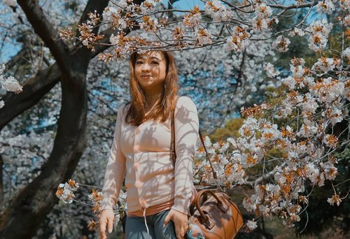 Dibawah pohon sakura.#sakura #cherryblossom #shinjukugyoen #garden #Japan #taman #Jepang #igtravel  #instadaily #clozetteID #igers #igbeauty #ootd #potd #lotd #outfit #pink #flower #love