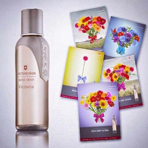 Win this lovely perfume and a bouquet from Victorinox Swiss Army called Victoria. An EDT with a wonderful fresh flowers aroma. Details: http://www.whileyouonearth.blogspot.com/2014/09/victorinox-swiss-army-victoria-edt.html #blogger #blog #giveaway #id #idblog #idblogger #indoblogger #beauty #beautyblogger #beautybloggerid #igdaily #ig #instabeauty #instadaily #perfume #fragrance #edt #flowers #beautiful #bouquet #clozetteid