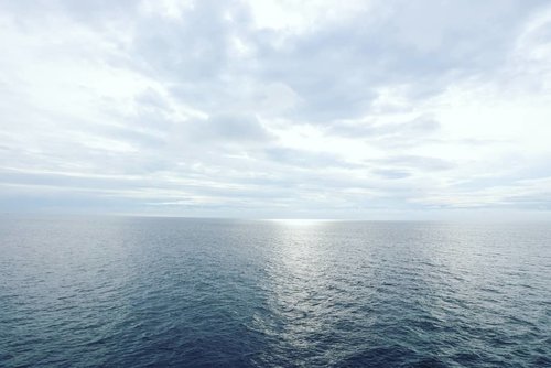 Finally, an adventure 😎

#travel #cruise #royalcaribbean #sea #ocean #clozetteid #love #holiday