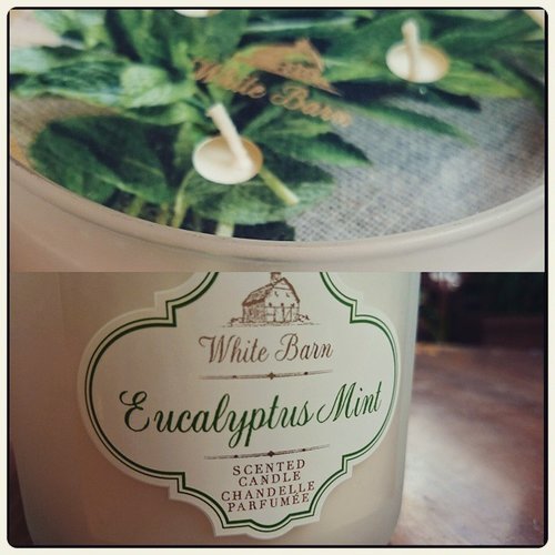 White Barn Eucalyptus Mint Candle from @bathandbodyworks 
#clozetteID #id #ig 
#canle #aromatherapy
#idblogger #smellsgood
#instadaily #shops
 #eucalyptus #mint #PhotoGrid