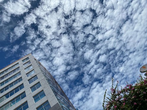 Is it because of the pandemic or everyone is supposed to stay at home?! Idk but the sky is so beautiful lately. Dulu saban lihat langit Jakarta yang ada hanya kabut polusi, agak abu-abu dan gak indah, nowadays the sky looks clearer 😍☁️💧 #sky #Jakarta #clouds #igdaily #instagood #instadaily #daily #life #day #hello #clozetteid #beauty #igers #skyline #potd #photooftheday #photo #mood #cloudscape #cloudstagram #skyphotography #skylovers #city #cityphotography #cityscape
