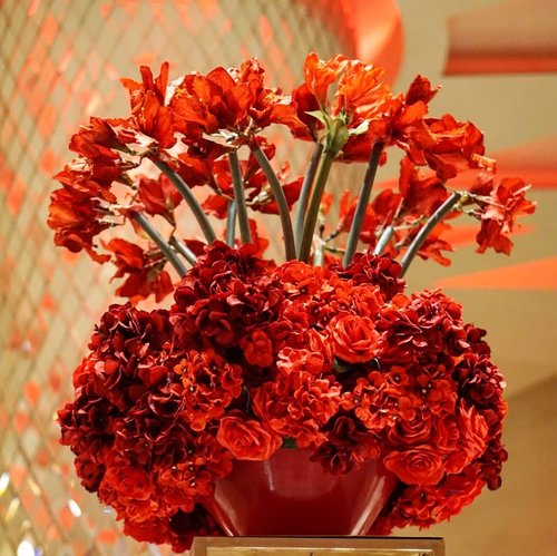 Have a blessed Sunday everyone 🌹🌺🐞 Let's paint the town red, shall we?! #sundaymorning #sundaymood #redflowers #red #love #ClozetteID #flowers #beauty #life #lovelife #lovely #lively #letsgo