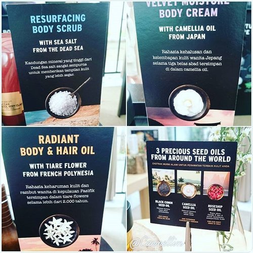 Here are some of the main ingredients for today's products. Some are for the SPA collection (body) and The oils for skincare (face). @thebodyshopindo #tbsskinspa #clozetteid #beautybloggerindonesia #thebodyshop #beautyblogger