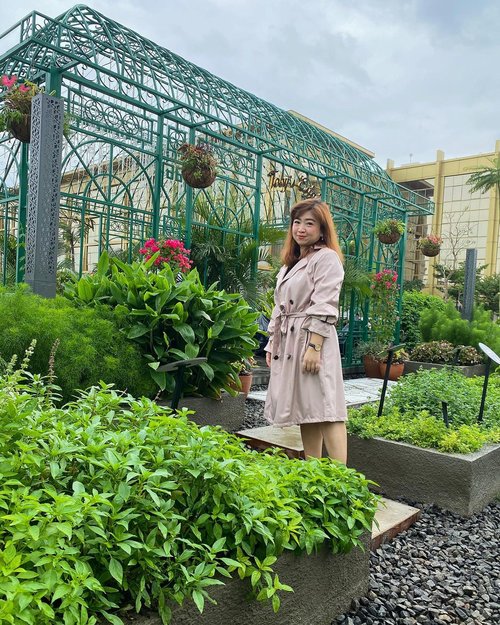 The clouds is getting darker and darker here. Looks like the plants are waiting to be drenched in the rain. I love how the rain makes everything cleaner and clearer. #lotd #lookoftheday #weather #cloudy #rain #clouds #sky #jakarta #carnellinstyle #coat #love #garden #clozetteid #cloudporn #clothes #clothingbrand #pik #styletoday #styleoftheday #igdaily #instagood #instadaily #igers #insta #greenhouse #green