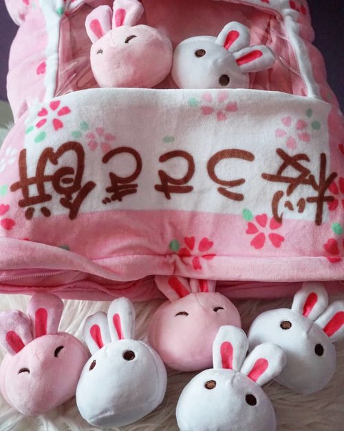 World of #bunnies 🐇🐰🐇🐰 #cutenessoverload #rabbit #plushies #clozetteID #love #pink