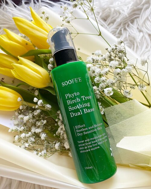 Phyto Birch Tree Soothing Dual Base	
https://hicharis.net/carnellin/1qht

Dijual dengan harga Rp.330rb this product is a must have karena membantu kulit yang bermasalah. 
Mulai dari:
-stress
-tired skin
-redness
-blackhead
-whitehead
-exfoliating skin
-sensitive, and
-dry skin

Kandungan Phyto Birch Tree membantu menenangkan dan melembabkan kulit, dipakai sebagai toner dan moisturizer in one. Jadi habis bersihkan kulit, cukup pakai ini saja, really suitable buat kalian yang ingin skincare multifungsi dan untuk usia belia (like early 20’s yang butuh pelembab yang ringan dan nyaman). 

Untuk kulit sangat kering dapat ditambah pelembab lain setelah menggunakan lotion ini. 

Tea tree  extract, centella asiatica, and oregano leaf extract relieve the skin while stabilizing sensitive skin.

Will definitely provide a full review soon. Sukaaaa banget pakenya, aromanya juga nyaman dan feels natural. 

#charis #charisceleb @charis_celeb  @hicharis_official
#beauty #igbeauty #instabeauty #toner #moisturizer #koreanbeauty #kbeauty #naturalbeauty #natural #clozetteID #love #igreview #skincare #tulip #flower #potd #photography #photooftheday