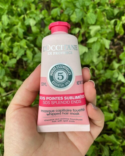 Review on @loccitane Whipped Hair Mask SOS Splendid Ends yang katanya bisa mengatasi split ends dengan segera. 

Video ada di:

https://youtu.be/5rcBDLJm85c

Is it that good? 

#loccitane #hairmask #splitends #haircare #clozetteid #beauty #instabeauty #igbeauty #igers #igdaily #instadaily #potd #beautyproducts #haircareroutine #haircareproducts #new #hair