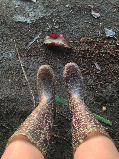 Morning outfit for a wet sand & bush. Rain boots! 
