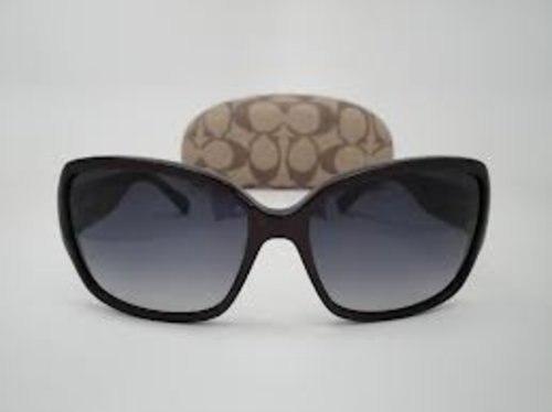 COACH Sunglasses S2025 Purple Gray Gradients