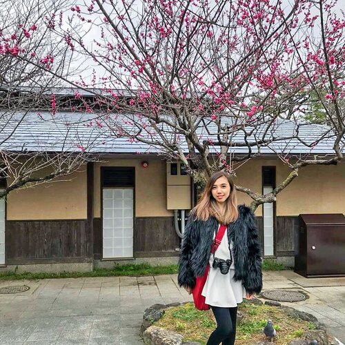 //19.03.2019//
.
I knew it’s too early to find sakura on that day. Therefore I was really happy to found this little ume (plum blossom) nearby Katsura River .. #throwback #earlyspring .
.
.
.
.
#instaphoto #igphoto #igers #wanderlust #instalife #igtravel #travelgram #traveladdict #travelinglady #iamtb #japantrip #japantravel #jntoid #springbreak #plumblossom #ume #katsurariver #arashiyama #kyoto #visitjapan #likes #follow #blogger #ClozetteID #travelblogger #StellangelitaInJapan