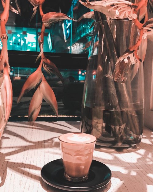 Selamat siang dari Jogjakarta yang gerah bener hari ini. 😅
.
.
.
.
.
#coffee #morning #latte #latteart #coffeeshop #jogjakarta #travel #travelgram #instatravel #lightroompresets #shotoniphone #instadaily #instagood #instamood #instamoment #clozetteid