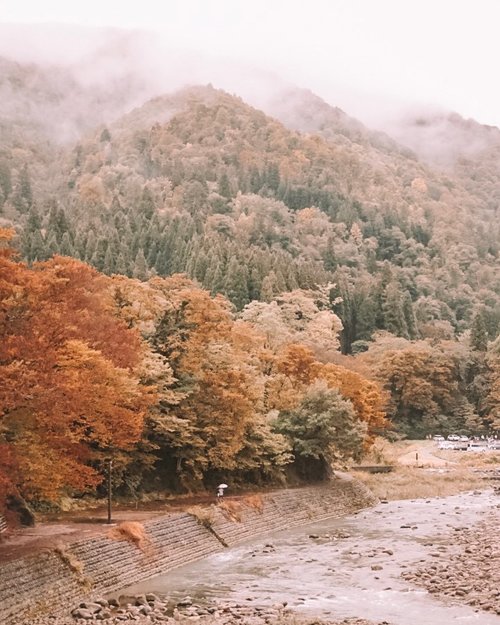 I'm so glad I live in a world where there are Octobers. It looked like the surrounding was covered in a cobbler crust of brown sugar and cinnamon.
.
.
.
.
.
#autumn #autumnvibes #autumncolors #japan #alpine #travel #travelgram #instatravel #sonyalpha #shirakawa #passionpassport #nature #scenery #mountains #thankful #clozetteid