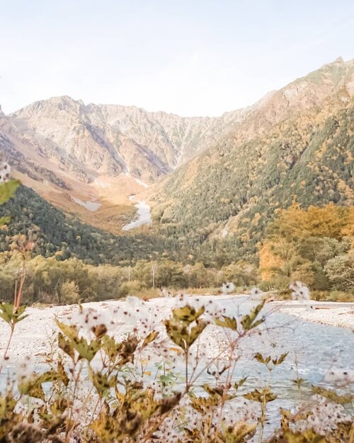 Dear Mother Earth, how are you?
.
Are you feeling ok right now? I'm sorry for taking you for granted all this time. I'm sorry for being such an irresponsible idiotic human being. I promise to make it better from now on.
.
I miss you. Get well soon, ok?
.
.
.
.
.
#kamikochi #japanesenothernalps #alps #chubusangakunationalpark #chubu #japan #traveling #travelgram #instatravel #hiking #mountains #scenery #nature #wheninjapan #chicinjapan #sonyalpha #clozetteid