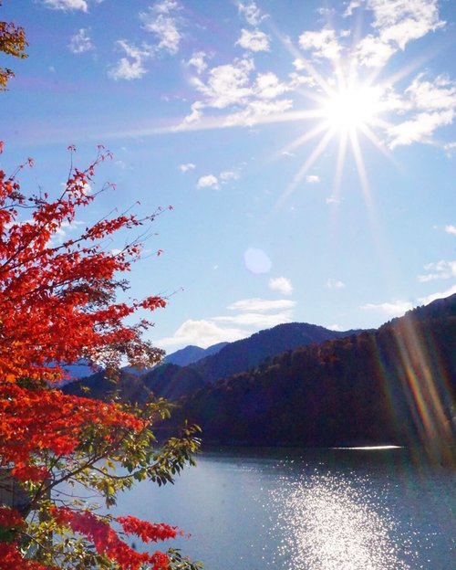 The autumn breeze and the sun say hello!
.
.
.
.
.
#autumn #autumnvibes #autumnleaves #scenery #nature #hills #lake #kurobe #kurobedam #tateyama #tateyamakurobealpineroute #sonyalpha #vsco #japan #travel #travelgram #instatravel #wheninjapan #clozetteid