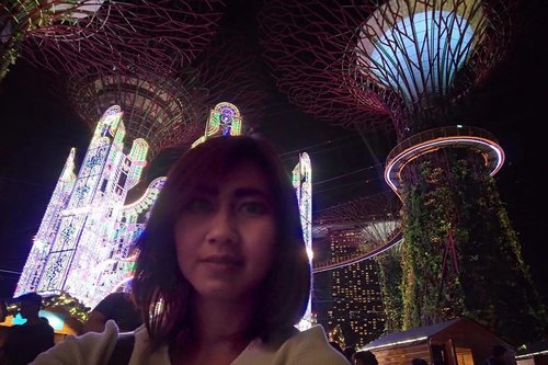 Page 1 of 365. It has shown me that everything is illuminated in the light of the past. It is always along the side of us... on the inside, looking out.
.
.
.
.
.
.
#newyear #illumination #light #past #life #gardenbythebay #singapore #travel #travelgram #instatravel #blogger #travelblogger #instadaily #instamood #instamoment #instagood #clozetteid #like4like