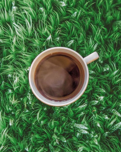 Not sure whether I need a cup of coffee right now or I just need to be outside. *sigh**diposting di tengah-tengah perjuangan menerjang macet Jakarta jam pulang kantor*.....#coffee #black #blackcoffee #frenchpress #nature #grass #earthlings #green #vsco #clozetteid