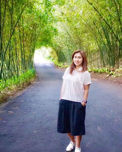 Ngga. Bukan di Jepang. Bandung doang kok ini. Deket kan dari Jakarta kalo cuma mau photo-photo sama bambu. Ngga perlu jauh-jauh ke Kyoto. 😂😂✌🏻✌🏻
.
.
.
.
.
.
.
.
#bamboo #bambooforest #bambu #Bandung #green #dusunbambu #travel #travelgram #instatravel #blogger #travelblogger #sonyalpha #vsco #snapseed #instadaily #instagood #instamood #ootd #clozetteid #like4like