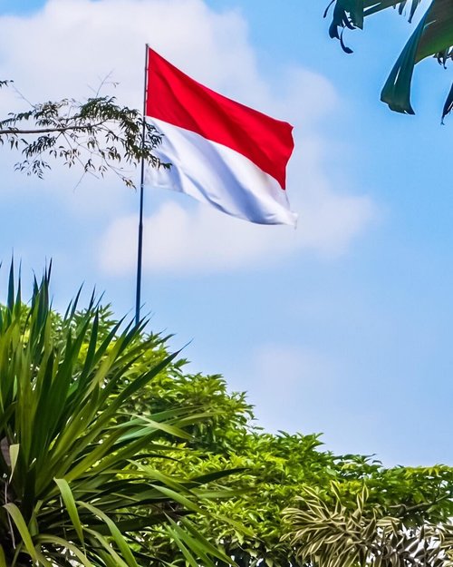 Happy Independence Day, Indonesia. 🇮🇩🇮🇩🇲🇨MERDEKA!
.
.
.
.
.
#independenceday #hutri72 #indonesia #nationalflag #flag #merahputih #sonyalpha #vsco #vscocam #instadaily #instagood #instamood #instamoment #clozetteid #like4like