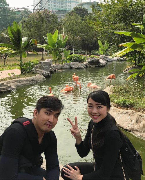 black on black couple in Guang Zhou zoo #tessaerick #ericktessa #couple #flamingo #birdsinparadise #zoo #guangzhouzoo #clozetteid