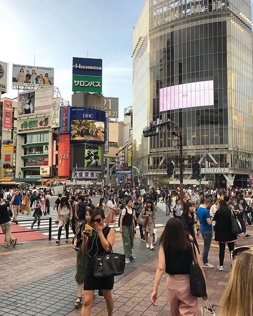 The famous Shibuya Crossings makes me dizzy #shibuya #shibuyacrossing #japan #tokyo #pictureoftheday #travel #travelling #travelstyle #travelblogger #travelphotography  #cityview #clozetteid