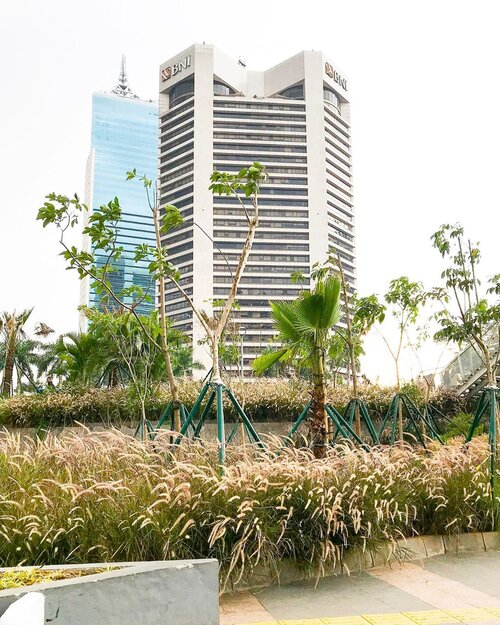 Sekali-sekali city view nya Jakarta ya yang dipost.. Karena Jakarta juga punya banyak spot foto yang keren... fasilitas umum (transportasi, rekreasi) yang juga sudah baik. Semoga warga yang menikmati juga bisa merawat dan tidak merusak/ mencoret2 fasilitas-fasilitas tsb.. karena punya fasilitas sebaik apapun, didukung pemerintah sebesar apapun kalau warga nya tidak bisa merawat ya percuma 😂 #jakarta #kotajakarta #jakartapusat #jakartainfo #cityview #citylife #cityscapes #building #architecture #architecturephotography #clozetteid