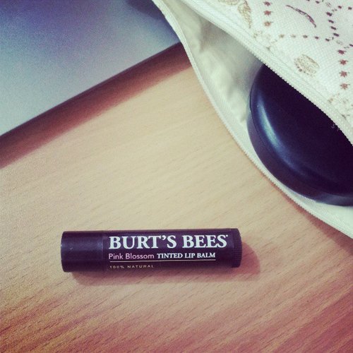Recent love : Burt's Bees Tinted Lip Balm Pink Blossom.