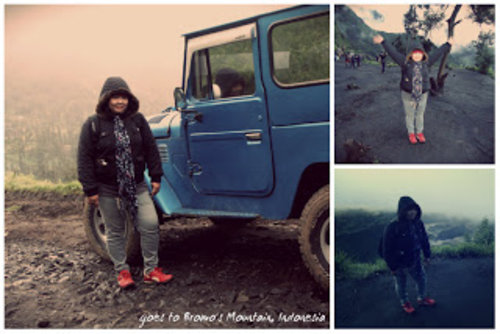 goes to bromo