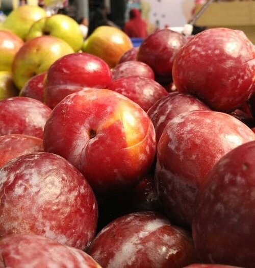 Udah makan buah belum hari ini? Buah  plum kaya antioksidan yang bermanfaat untuk menangkal radikal bebas
.
Ini dia manfaat buah plum:
1. Menurunkan berat badan
2. Meningkatkan sistem kekebalan tubuh
3. Menjaga kesehatan mata
4. Mencegah sembelit
5. Menjaga kadar gula darah
6. Mencegah osteoporosis
..
...
#ClozetteID
#instadaily
#instagood
#fruit
#plum
#health
#foodgasm
#eeeeeeats
#nofilter