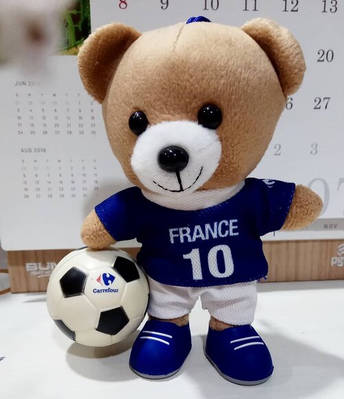 Congratulations @equipedefrance for winning World Cup 2018!......#ClozetteID#WorldCupFinal#WorldCup#WorldCup2018#France#Russia#Moscow#fiersdetrebleus#equipedefrance#trendingtopic#moodygrams