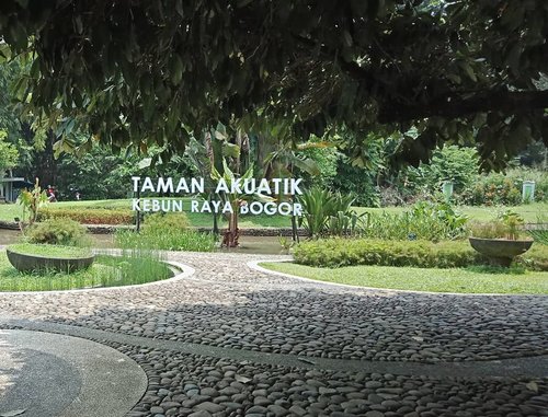 Banyak ketemu taman kece di Kebun Raya Bogor, salah satunya Taman Akuatik.Seharian di Kebun Raya tuh menyenangkan sekali ternyata! Kamu sering ke Kebun Raya Bogor juga?.....#ClozetteID#visitBogor#wheninBogor#KebunRaya#BogorBotanicalGarden#instatravel#MulaiAjaDulu#wanderlust#travelgram#TravelTerus#liburanlokal