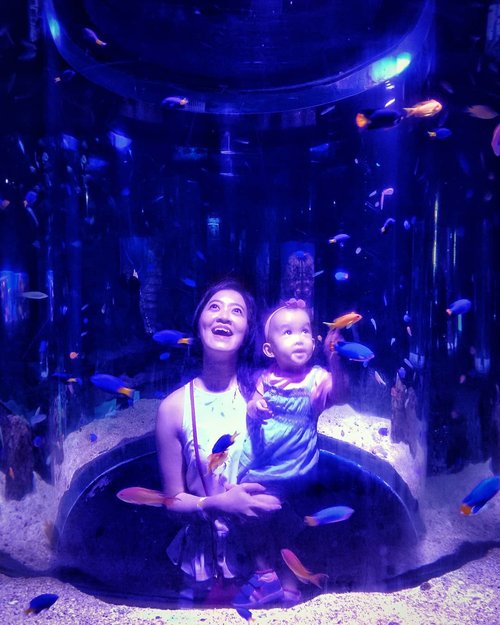 .Keliatan ya siapa yang lebih amazed dengan keindahan "bawah laut". -Aquarius in her element-...#MiyukiandMom#JakartaAquarium #throwback#clozetteid#starclozetter
