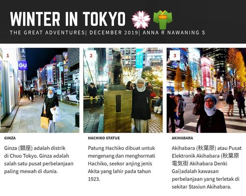 Winter in Tokyo#stayhomenowtravellater #travelaftercovid19 #travel#wanderlust #Tokyo #Japan #balqis57travel #clozetteid