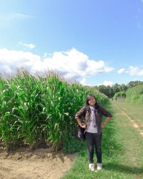 Nambah #throwback foto pas ikutan World Congress IAAS tahun 2012. Iya pas masih mahasiswa. Iya itu udah lama banget 😂😂😂 .I'm feeling right in my element out here in the field. Iyaaa pakaiannya kalau ke lapang ga secakep ini HAHAHA. Tapi ini pas field trip keliling lahan Bonn University, Germany. Jadi #ootd harus on point (tetep). 😆 anw ini cuacanya cerah tapi anginnya dingin, my favorite kind of weather! Jadinya sumringah. .Selain ngunjungin greenhouse tomat kaya di foto sebelum-sebelumnya, kita juga keliling ke fasilitas host university. Ini sih ladang jagung biasa, tapi emang lagi ada trial. Selain ladang jagung, kita juga ke ladang barley dan ke peternakan. Dikasih tau juga soal teknologi mereka untuk menghandle gulma dan GPS positioning buat liat kesiapan masa panen. Definitely the agriculture 4.0 that we need 😁 .Tulis di blog ga ya pengalamannya? Gimana netizen? .-------.#wocoiaas2012 #eurotrip #eurotrip2012 #germany #bonn #bonnuniversity #universityofbonn #field #cornfield #agriculture #clozetteid #clozettedaily #fieldtrip #visiteurope #agriculturebusiness #leica #leicadlux