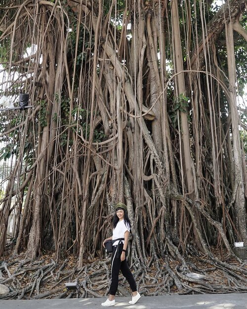 Never get so busy to make living .. that you forget to make a life .. 😏🙌....Finally found a baby beetle black @kee.id hang on my waist! Simple and fit to all my daily stuffs in once! (Javanese said "kecil kecil cabe rawit" 😂)...Let's hugs the weekend! Enjoy the nature, everyone! ...#clozetteid #Lifestyle #WeekendChill #OOTD #SudahPakaiKEE #ProtectYourGeer #Fashionid #SofiaDewiTravelDiary #ExploreJogja #JustTravel