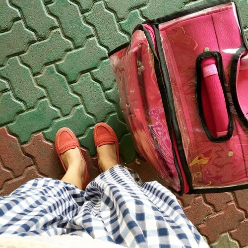 make yourself comfortable with anything you bring with you ❤️girls... never left color in home 👌its build good mood  for the world.. tartan pants by @swanstwenty 👌soon available at @odioli 😊 luggage by cosas united..
shoes by st.yves.. #ootd #aotd #clozette #clozetteid #tartan #fashionstreetstyle #pink #travelling #sofiadewistyle #swanstwenty #sofiadewi #sofiadewiootd #happymonday