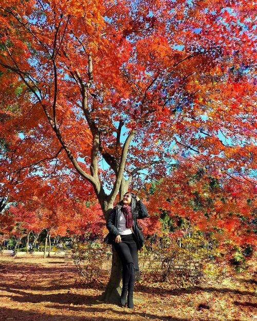 Antara Ekspektasi & Realita saat liburan .. 📸...November lalu, Sopiah & @waoderadiatna ke Nami Island .. udah sotoy banget mikir "jangan weekend ya! Senin Aja, biar gak Terlalu penuh" eh ya.. namanyaaa tempat wisata woi! Bus Kita aje penuh yaaa.. tetep 🤣🤣...Untuk foto di spot ini aja, yang keliatan besar pohonnya Dan sebelah Ada petunjuk arah berbahasa Korea, tetep aja Ada family yang pepotoan di situ, keliatan 2 kepalanya 🤣 Ode dah berusaha banget ini motoinnya .. mamaci ode! ...❤️ Slide 1 : sesudah diedit ya.❤️ Slide 2 : foto asli.❤️ Slide 3 : ngedit pakai Snapseed (mostly healing, sisanya cuma sekali brush+saturation) ...Foto-foto liburanku ya gak semua beneran sepi sih, kadang Ada aja photo-bomb-nya .. kadang sebelahan ama orang yang bilang "yaudah mbak foto Aja, saya Kan Juga foto dari sini" 😑🤗 sudahlah .. karena dunia itu bukan milik Kita doank, Dan yang lain gak cuman ngontrak .. milik bersama 😍❤️Yang penting adalah semua happy Dan Kita Ada solusinya .. ...Kamu Ada pengalaman yang sama Juga kah? 😋Kasi tahu Sopiah donk... #clozetteid #lifestyle #wheninseoul #sofiadewitraveldiary #shotonOPPO #ThrowbackSeoul #livetotravel #autumn2019 #fashion #styleblogger #wanderlust #autumnstyle